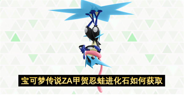 宝可梦传说ZA甲贺忍蛙进化石获取全攻略K级冲分技巧