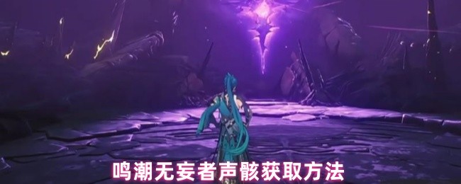 探索鸣潮：无妄者声骸高效刷取地点与等级建议攻略
