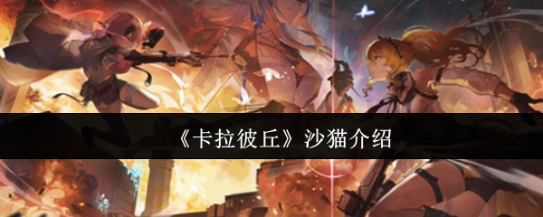 卡拉彼丘沙猫
