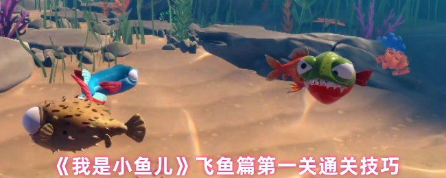 《我是小鱼儿》飞鱼第一关通关秘籍：吃面包与飞行路线全解析